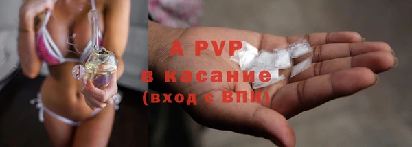 шишки Аркадак