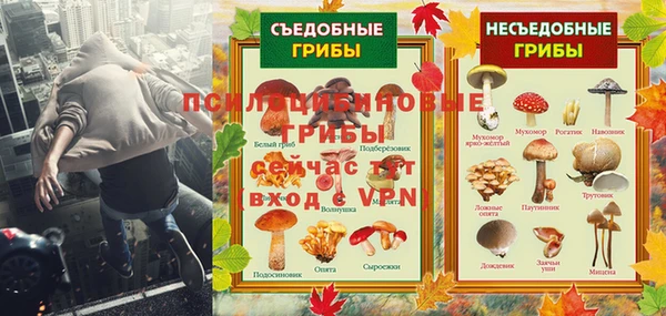 шишки Аркадак