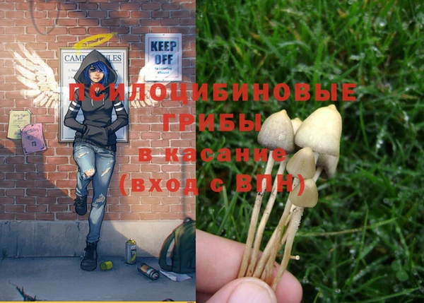 индика Армянск
