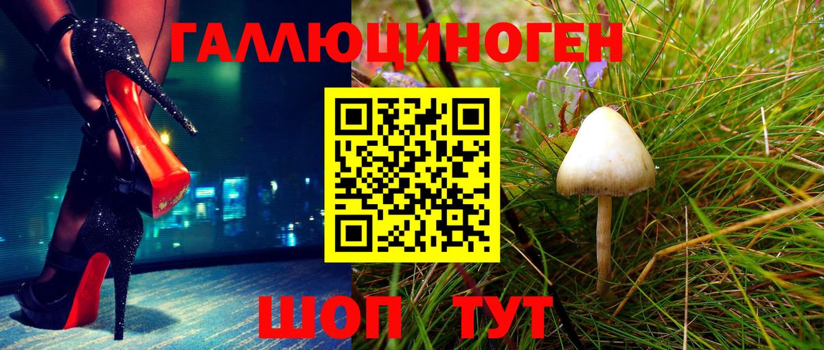 Коряжма  Галлюциногенные грибы MAGIC MUSHROOMS  Вход с VPN 