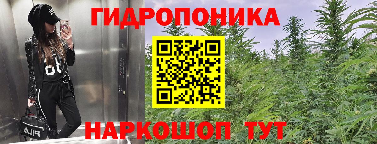 Бошки марихуана VHQ  Вход с VPN  Коряжма  Шишки марихуана Ganja 